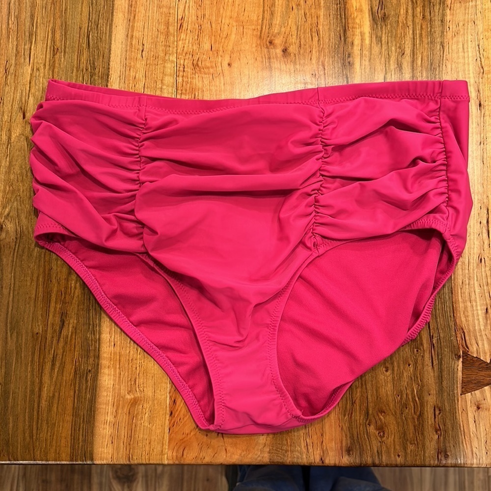 Raisins Swim Bottom Size 22W EUC